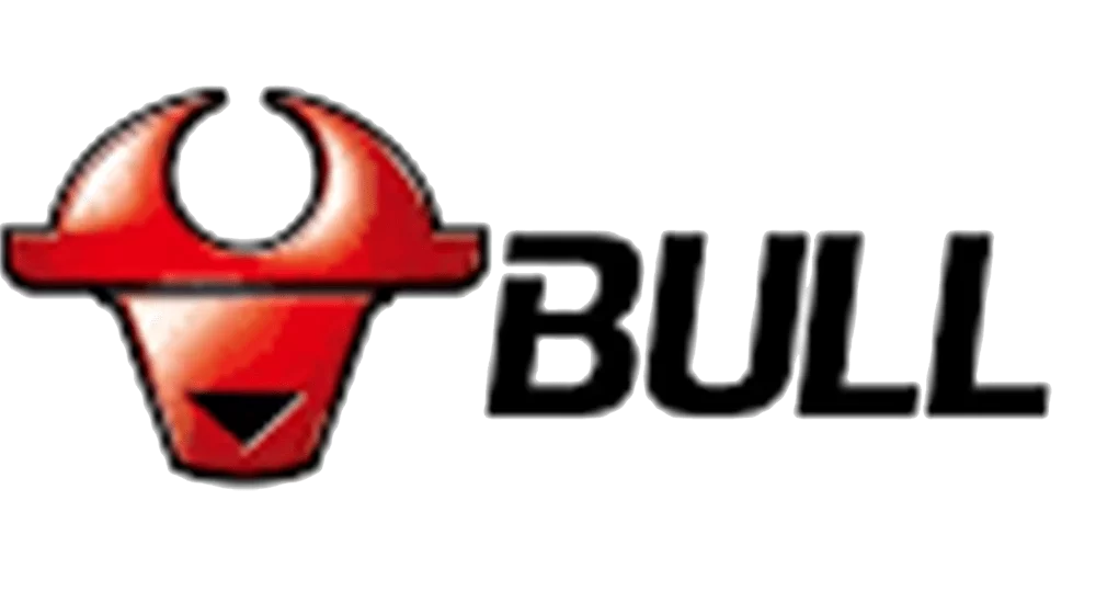 bull logo
